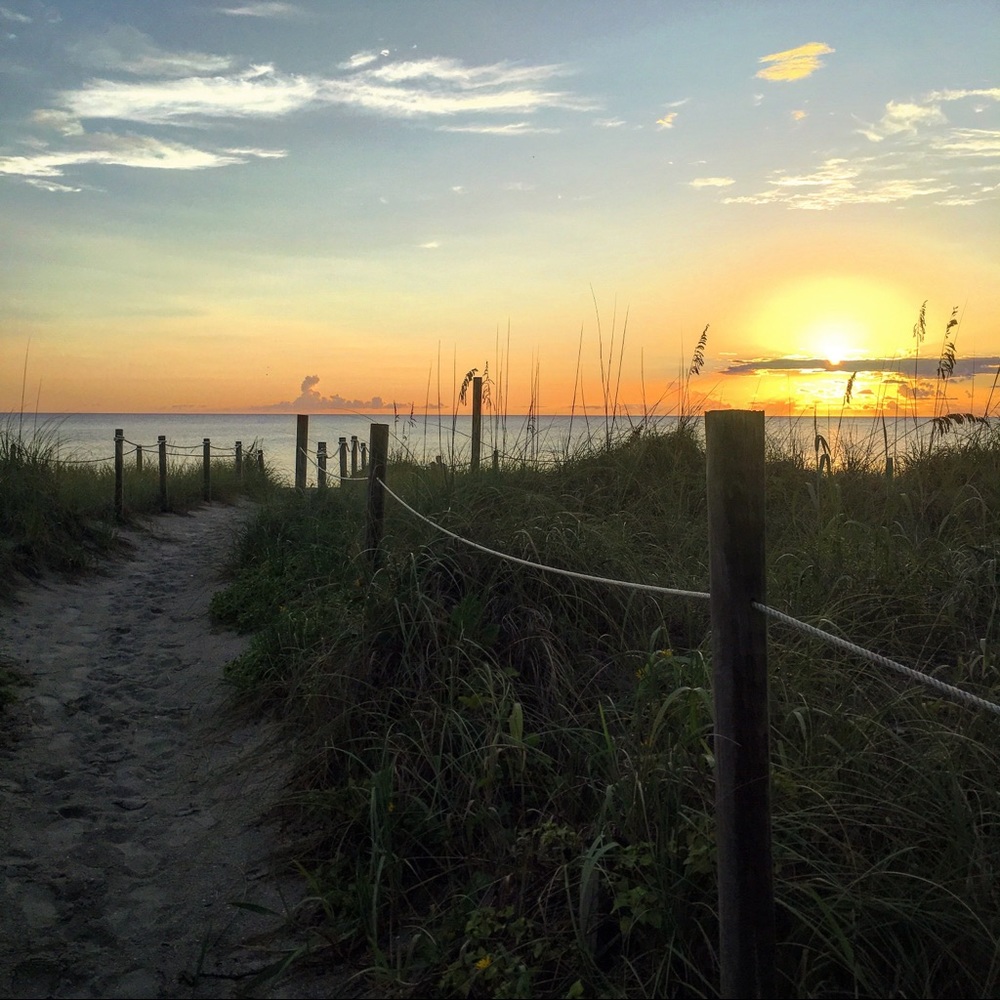 Meet your Posher, Celena